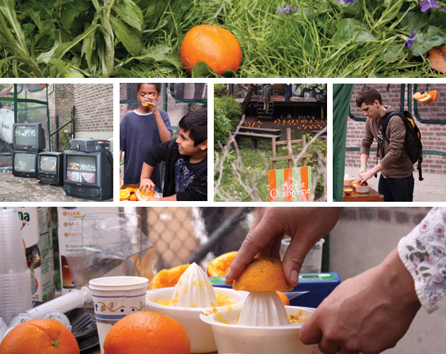 people squeezing oranges, video fo tropicana, oranges in violets
